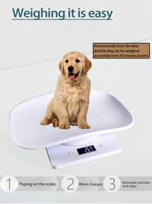 Electronic Digital Scale, Veterinary Animal Weight, Pet Dog And Cat Weighing, 10 Kg Accurate To 1g, Stainless Steel Electronic Pet Scale - Accurate Weighing (Batteries Not Included) - Multicolor - View 3