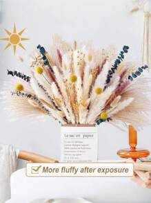 52枝蒲苇、小芦苇、兔尾草、尘土飞扬的小芦苇，家居装饰混搭，干燥花花束，适合庭院装饰，室内装饰（仅限干草）