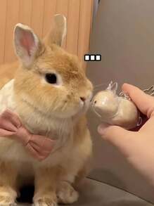 1 件可爱透明宠物兔毛纪念品胶囊，宠物毛发存储钥匙扣，带项圈设计的可爱兔子形纪念容器，密封宠物兔毛存储 DIY 纪念吊坠，送给兔子爱好者和宠物损失同情的礼物，记住心爱宠物的理想选择，宠物配饰，独特的个性化宠物配饰