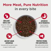 Nulo Frontrunner Ancient Grains High-Protein Dog Food, Beef, Barley, &Amp; Lamb Recipe- Natural Dry Dog Food With Probiotics, Grain-Inclusive Kibble For Adult Dogs, 25 Lb Bag - Pork Barley Beef - 查看 3