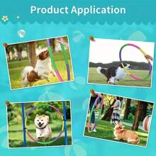 可拆卸 PVC 材质 - 丰富多彩的选择，适合健身、舞蹈和户外活动 - 轻巧耐用的设计，适合派对、节日、生日和所有年龄段、派对游戏 | 有趣的健身配件 | 易于存储的设计、健身圈、圣诞节选择