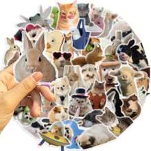 50张趣味小动物贴纸宠物透明贴纸可用于笔记本电脑滑板收纳盒装饰可作为送给好朋友的礼物 - 彩色 - 查看 9