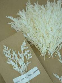 الأبيض (عشب العشاق)