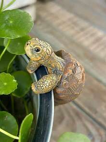 1PC/3PCS Turtle Statue Plant Pot Hanger Figurine - Resin Animal Ornament Climbing Tortoise For Garden & Yard Decor - Con rùa - Xem 5