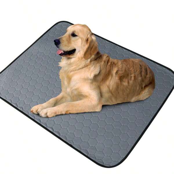 Multifunktionales Pad für kleine Haustiere! Geeignet für Igel, Meerschweinchen und andere süße Haustiere, mit grauer Wabentextur, bequem und praktisch. Kann als Fressnapf oder Ruhekissen verwendet werden, um den Alltag Ihrer kleinen Haustiere zu schützen und ihr Essen und Spielen angenehmer zu gestalten, Pflege zu erleichtern und eine gemütliche kleine Welt für Ihre kleinen Begleiter zu schaffen.