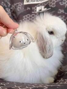 1 件可爱透明宠物兔毛纪念品胶囊，宠物毛发存储钥匙扣，带项圈设计的可爱兔子形纪念容器，密封宠物兔毛存储 DIY 纪念吊坠，送给兔子爱好者和宠物损失同情的礼物，记住心爱宠物的理想选择，宠物配饰，独特的个性化宠物配饰