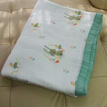 Bed Blankets & Towel Blankets