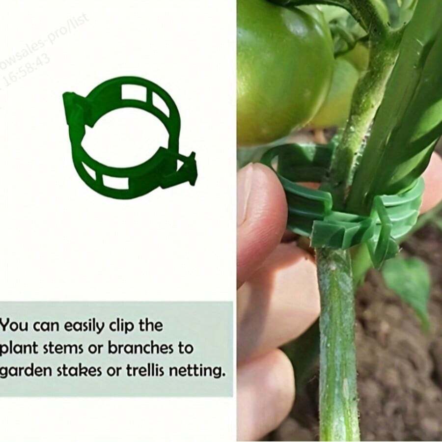 20 件，塑料植物夹支撑连接可重复使用保护嫁接固定植物蔬菜番茄工具园艺用品，支撑藤蔓夹，藤蔓夹，悬挂育苗扣，绿色植物夹，藤蔓固定夹，辣椒和茄子固定器，幼苗植物夹 - 綠色 - 查看 1
