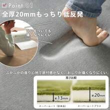 Clothes, Carpets And Leather Cleaners, Bleaches & Softeners - 奶茶 - 查看 11