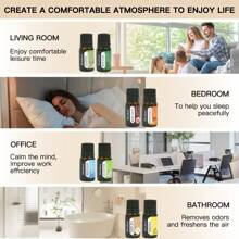 Water Soluble Essential Oils Kit For Diffusers 8x10ml,Rose Sweet Orange White Tea Jasmine Mint Oce