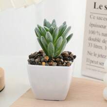 1件/4件仿真迷你多肉植绒迷你方形盆栽家居装饰室内阳台精美多肉盆栽-家居客厅、房间餐桌中心迷你盆栽装饰摆件