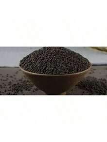 Free Home Delivery 165pcs Red Ivory Mango Seeds (Mango Seeds) - 165 - 查看 5