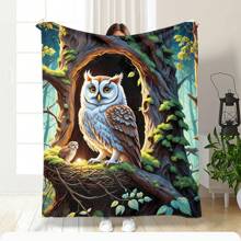 Bed Blankets & Towel Blankets