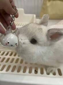 1 件可爱透明宠物兔毛纪念品胶囊，宠物毛发存储钥匙扣，带项圈设计的可爱兔子形纪念容器，密封宠物兔毛存储 DIY 纪念吊坠，送给兔子爱好者和宠物损失同情的礼物，记住心爱宠物的理想选择，宠物配饰，独特的个性化宠物配饰