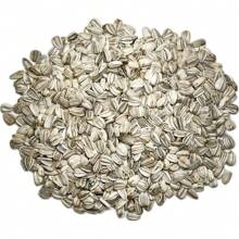 50 Giant Mammoth Sunflower Seeds - Grow Enormous, Towering Blooms Up To 12 Feet Tall