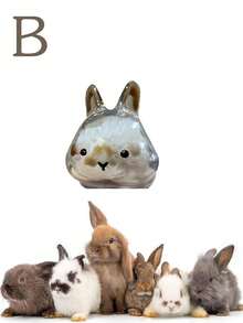 1 件透明兔毛纪念品胶囊、宠物毛发存储钥匙扣、多功能宠物纪念吊坠、毛发存储袋、宠物毛发存储和保护纪念品、密封宠物毛皮存储 DIY 纪念吊坠、送给兔子爱好者和宠物失踪同情的礼物、纪念心爱宠物的理想选择、宠物配饰、独特的个性化宠物配饰