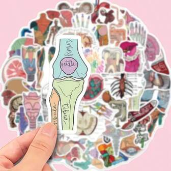 50pcs Vibrant Anatomy & Science Cartoon Stickers - Educational Vinyl Decals For Laptops, Water Bottles, Skateboards | Durable Self-Adhesive, Perfect For Students & Enthusiasts, Cool Stickers