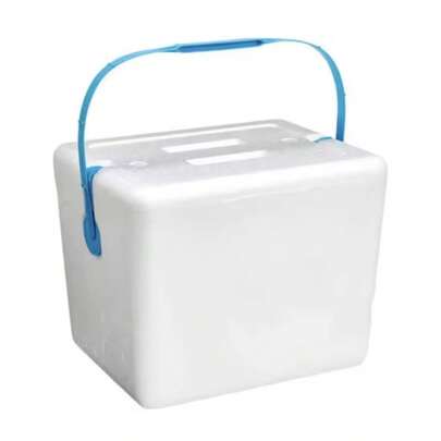 ZYLX SHOPPING – Polarbox con Asa, Nevera Portátil de Porexpán en 5 Tamaños | Hielera Ligera para Playa, Camping, Viajes, Picnic, Pesca | Caja Térmica Conservación Frío
