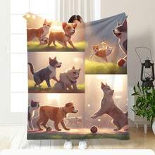 Bed Blankets & Towel Blankets