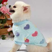 秋冬新款宠物狗猫衣服，奶油色贵宾犬泰迪比熊犬小型犬牵引绳羊毛连帽衫 - 藍色 - 查看 6