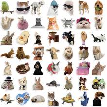 50张趣味小动物贴纸宠物透明贴纸可用于笔记本电脑滑板收纳盒装饰可作为送给好朋友的礼物 - 彩色 - 查看 2