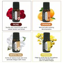 Water Soluble Essential Oils Kit For Diffusers 8x10ml,Rose Sweet Orange White Tea Jasmine Mint Oce