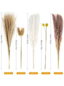 52枝蒲苇、小芦苇、兔尾草、尘土飞扬的小芦苇，家居装饰混搭，干燥花花束，适合庭院装饰，室内装饰（仅限干草）