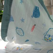 Bed Blankets & Towel Blankets