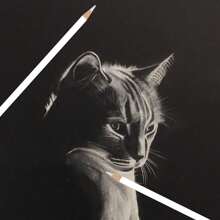 Brutfuner 6 Pcs White Sketch Charcoal Pencils -Professional Hight Quality Sketch Highlight White Charcoal Wooden Pencils For Artist Drawing, Sketching, Blending Back To School - 6 White Pencils - View 8