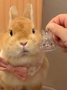 1 件可爱透明宠物兔毛纪念品胶囊，宠物毛发存储钥匙扣，带项圈设计的可爱兔子形纪念容器，密封宠物兔毛存储 DIY 纪念吊坠，送给兔子爱好者和宠物损失同情的礼物，记住心爱宠物的理想选择，宠物配饰，独特的个性化宠物配饰