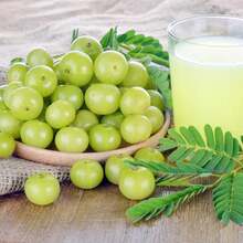 Free Home Delivery 288 Seeds, Amaranth Seeds, Tahiti Berry Seeds, Star Date Seeds - Self-Pollinated And Rare Tropical Exotic Fruit Seeds Suitable For Wildlife - 288 - 查看 4