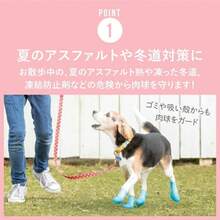 Pet Shoes & Boots - 黑色的 - 查看 3