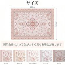 Seat Cushions & Backrest Pillows - Pink - View 3