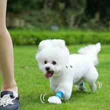 20pcs Disposable Pet Dog & Cat Paw Protector Shoes, Waterproof And Dustproof Pet Booties To Keep Paws Clean - Multicolor - View 2