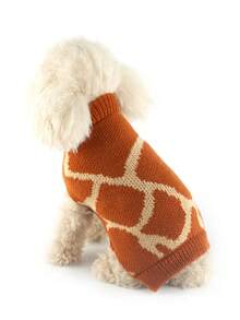 Winter New Leopard & Zebra Print Pet Sweater, Knitted Outfit For Small/Medium Dogs & Cats