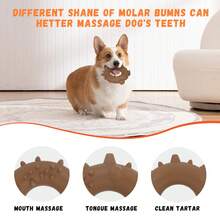 Chew-Resistant Nylon Dog Toy, Peanut Flavored Sweet Donut Shaped Dental Chew Bone, Teeth Cleaning & Boredom Relief Interactive Chewing Toy For Small/Medium Dogs - Multicolor - View 7