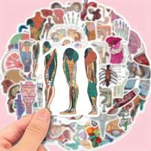 50pcs Vibrant Anatomy & Science Cartoon Stickers - Educational Vinyl Decals For Laptops, Water Bottles, Skateboards | Durable Self-Adhesive, Perfect For Students & Enthusiasts, Cool Stickers - Multicolor - View 4