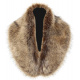 Raccoon