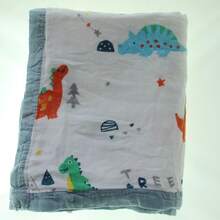 Bed Blankets & Towel Blankets