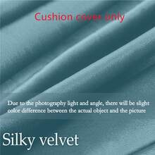 1 Miếng màu trơn Vỏ đệm không cần chất độn , Nhung Vỏ gối Đối với Sofa , Nhà  Đồ trang trí - Màu xanh Cadet - Xem 4
