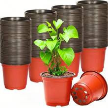 50个黑色塑料植物育苗盆 4英寸 种子育苗盆容器 - 紅色 - 查看 1