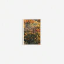 1/3PCS Colorful Autumn Foliage Print Set, Triptych Fall Photography, Bright Tree Tops Poster, Set Of 3 Prints, Rustic Home Decor, Fall Aesthetic
