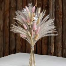 52枝蒲苇、小芦苇、兔尾草、尘土飞扬的小芦苇，家居装饰混搭，干燥花花束，适合庭院装饰，室内装饰（仅限干草）