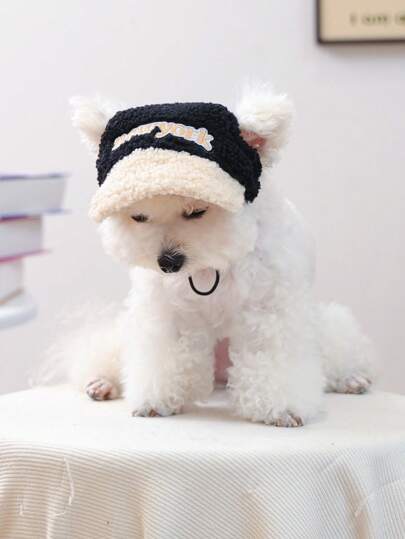 1 pezzo Cappellino da baseball casual e alla moda, comodo e caldo, accessorio per cani e gatti, cuccioli e cani di piccola taglia come il Pomeranian, colore nero