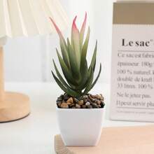 1件/4件仿真迷你多肉植绒迷你方形盆栽家居装饰室内阳台精美多肉盆栽-家居客厅、房间餐桌中心迷你盆栽装饰摆件