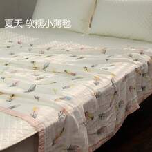 Bed Blankets & Towel Blankets