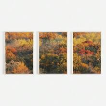 1/3PCS Colorful Autumn Foliage Print Set, Triptych Fall Photography, Bright Tree Tops Poster, Set Of 3 Prints, Rustic Home Decor, Fall Aesthetic
