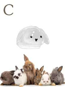 1 件透明兔毛纪念品胶囊、宠物毛发存储钥匙扣、多功能宠物纪念吊坠、毛发存储袋、宠物毛发存储和保护纪念品、密封宠物毛皮存储 DIY 纪念吊坠、送给兔子爱好者和宠物失踪同情的礼物、纪念心爱宠物的理想选择、宠物配饰、独特的个性化宠物配饰