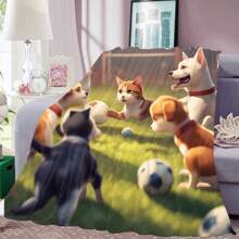 Bed Blankets & Towel Blankets