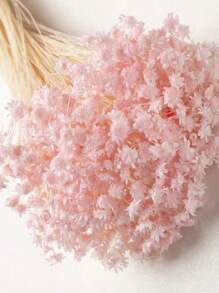 30/60/100/200 pezzi Mini margherite brasiliane essiccate, decorazioni adatte per composizioni floreali da matrimonio, decorazioni per la casa, regali di San Valentino, colori rosa, corallo chiaro, stile rustico, decorazioni naturali a base di erbe, decorazioni autunnali